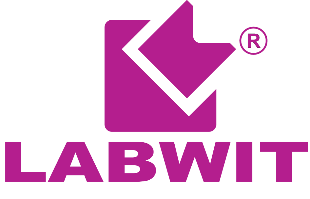 Labwit logo 1024x657
