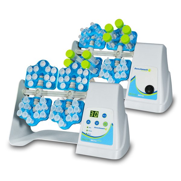 R2020 Group 600 x 600 